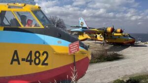 Ateş Kuşları Saray’ın himayesinde çürüyor