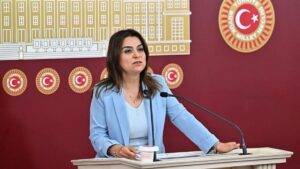 DEM Partili Gülistan Kılıç Koçyiğit Şehitler açıklaması için özür diledi