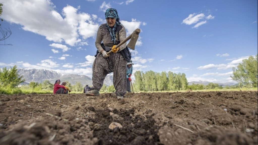 İktidardan çiftçiye darbe