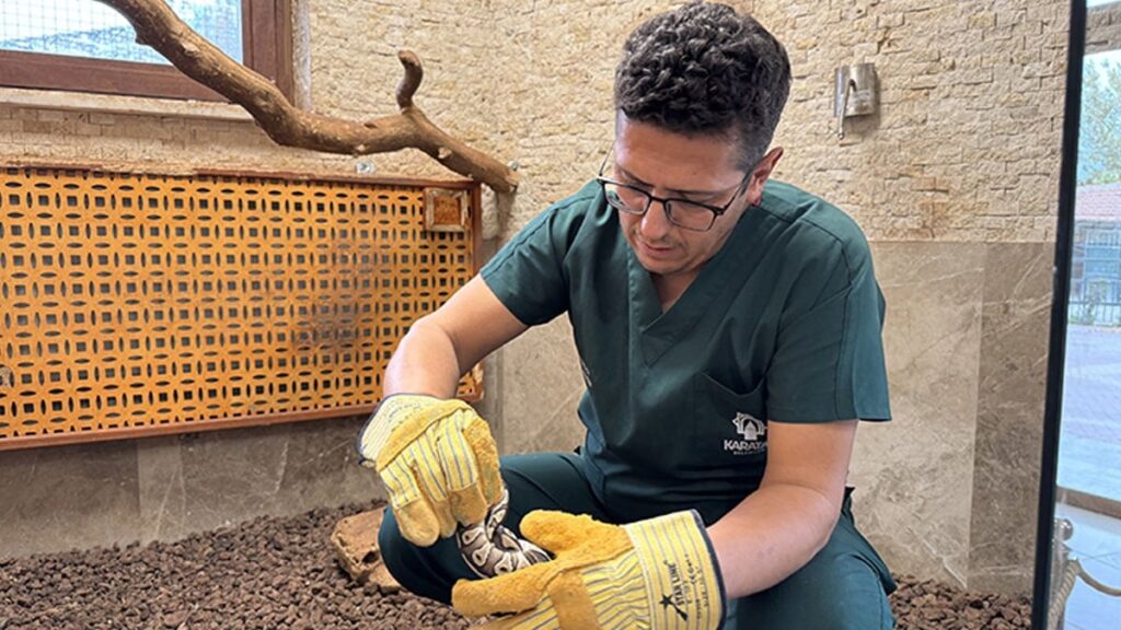 Konya’da rutin kontrolde cebinden piton çıktı