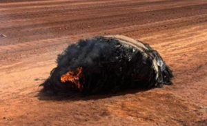 Uzaydan çöle düşen gizemli cismin ne olduğu bulundu