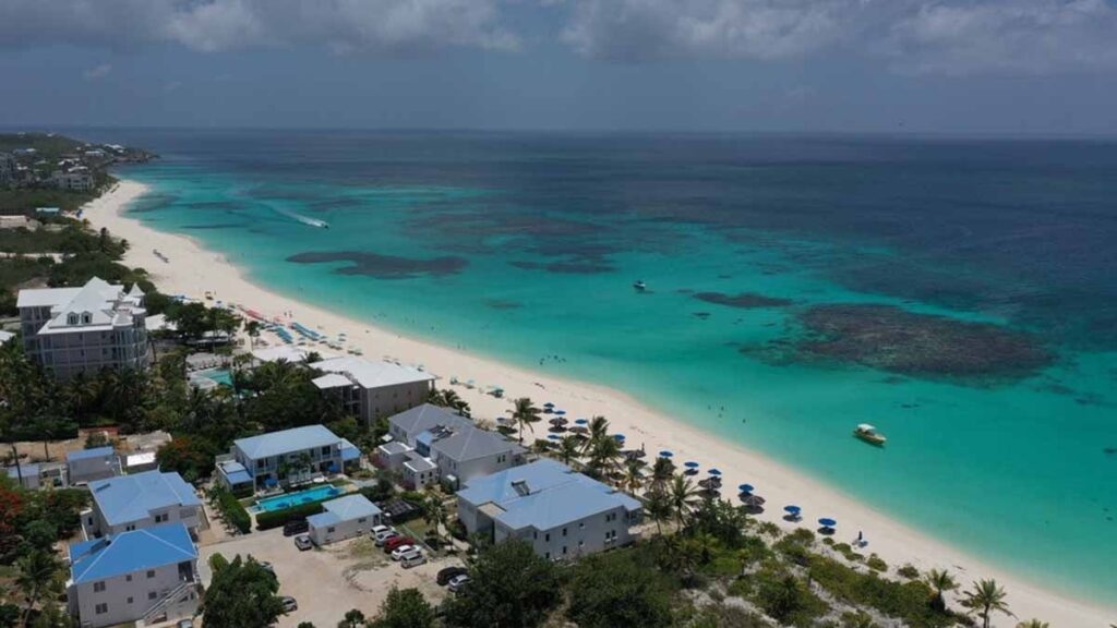 Yapay zeka küçücük ülkeyi altın madenine çevirdi: 1 yılda milyonlarca dolar kazandılar