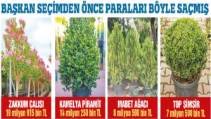 350 milyon lirayı çiçek etti!