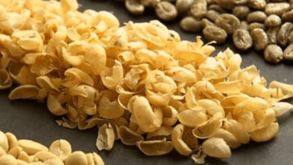 5 yıl boyunca yaşlandırmıyor: Günde 4 fincan içmeniz yeterli