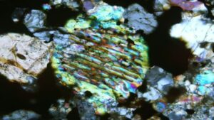 Altın sandı, bulduğu şey bambaşka çıktı: Gerçek altından daha nadir