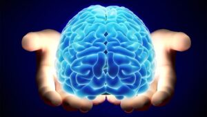 Beyninizin iyi çalışıp çalışmadığını nasıl anlarsınız?