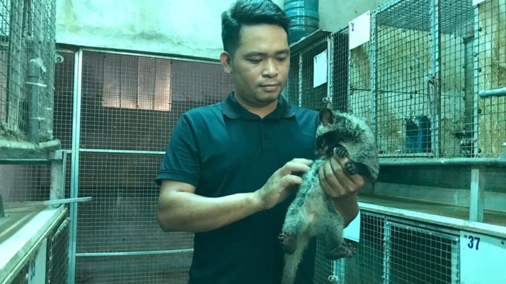 Gece avlanıp çok doğuran hayvan sayesinde milyonlar kazanıyor