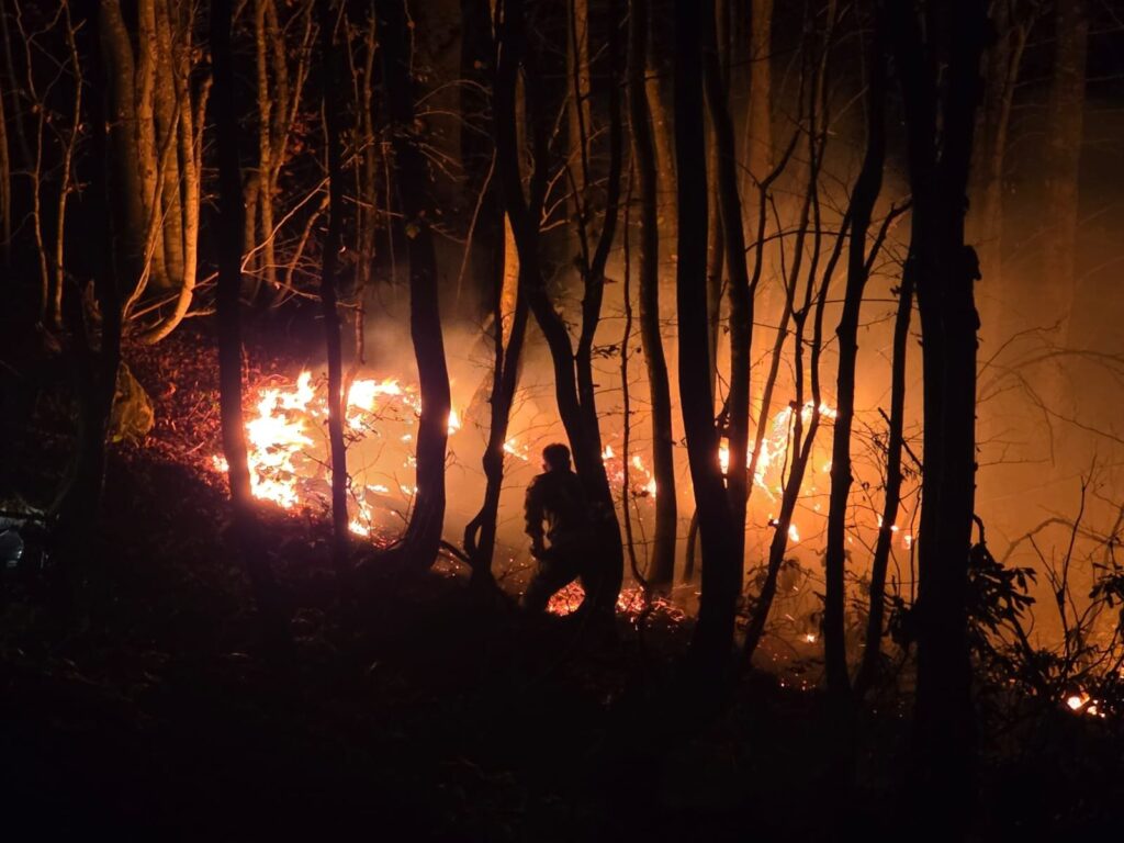 Ordu’da örtü yangını ormanlık alana sıçradı
