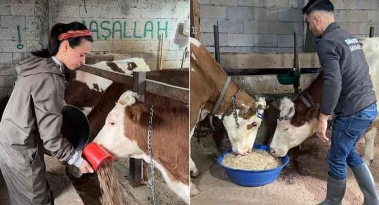 Şehirden köye kaçıp hayvancılığa atıldılar