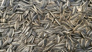 Türk markalı çekirdekler marketlerden kaldırılıyor: İşte nedeni