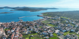 Yapay zeka Adana’dan özür diledi