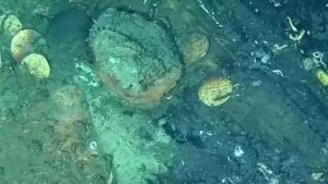 724 milyar TL’lik tarihi hazine ortaya çıktı: 4 ülke ‘benim’ diyor