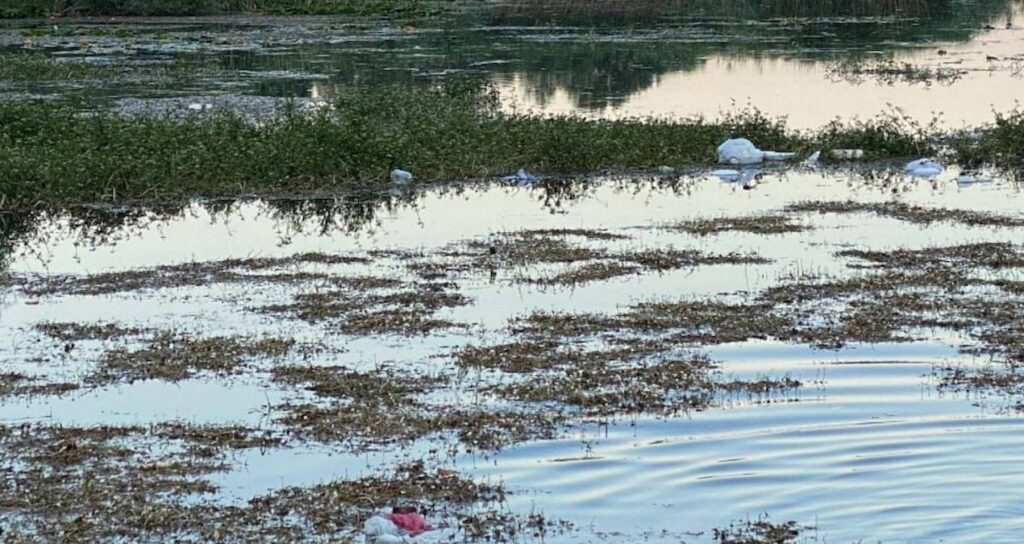 Bataklıkta 2 bin 300 yıllık hazine bulundu