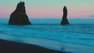 Dünyanın en yaşlı hayvanını bulup aynı gün sonunu getirdiler