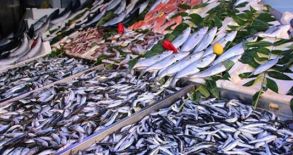 En tehlikeli balık türü açıklandı: Kansere neden oluyor