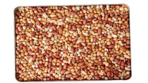 Fındık, badem veya kaju değil: En sağlıklı kuruyemiş hafızayı uçuruyor