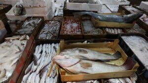 Hamsi, istavrit veya somon değil: Aralık ayında bu balığı yiyin, en sağlısıymış