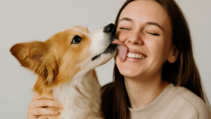 Köpek yalaması sağlıklı mı sağlıksız mı? Gerçek ortaya çıktı